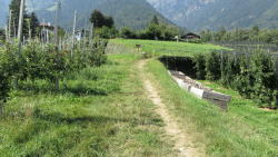 foto escursione